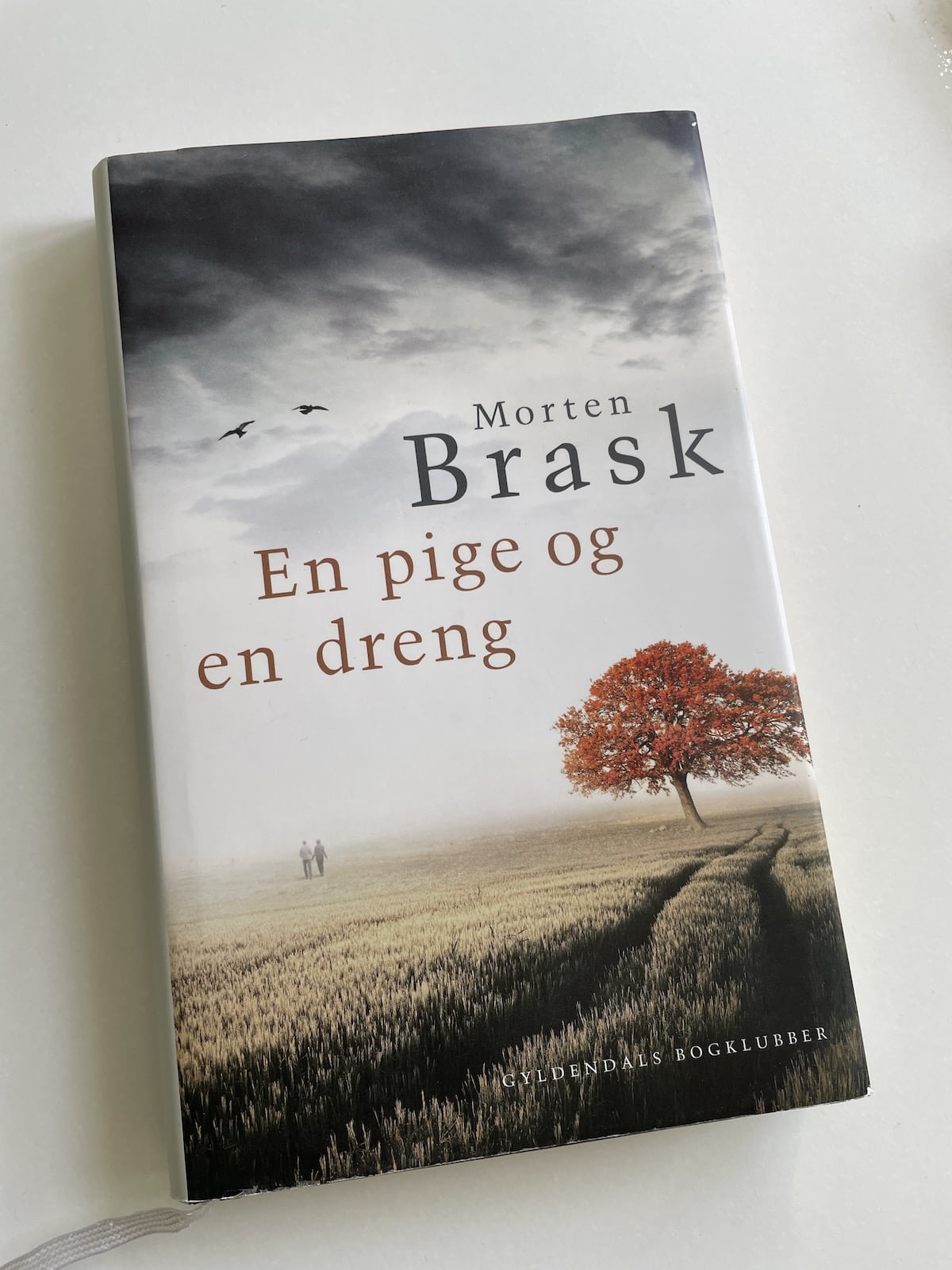En pige og en dreng, Morten Brask, brugt bog