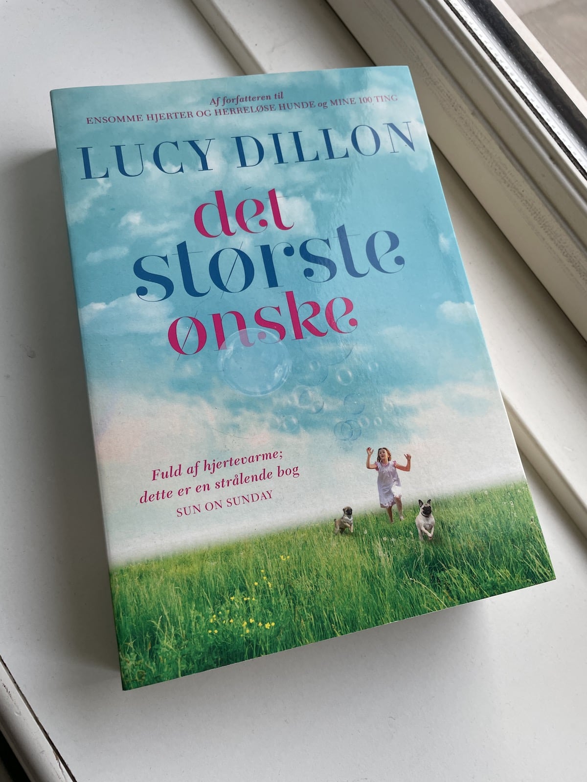 Det største ønske, Lucy Dillon, brugt bog