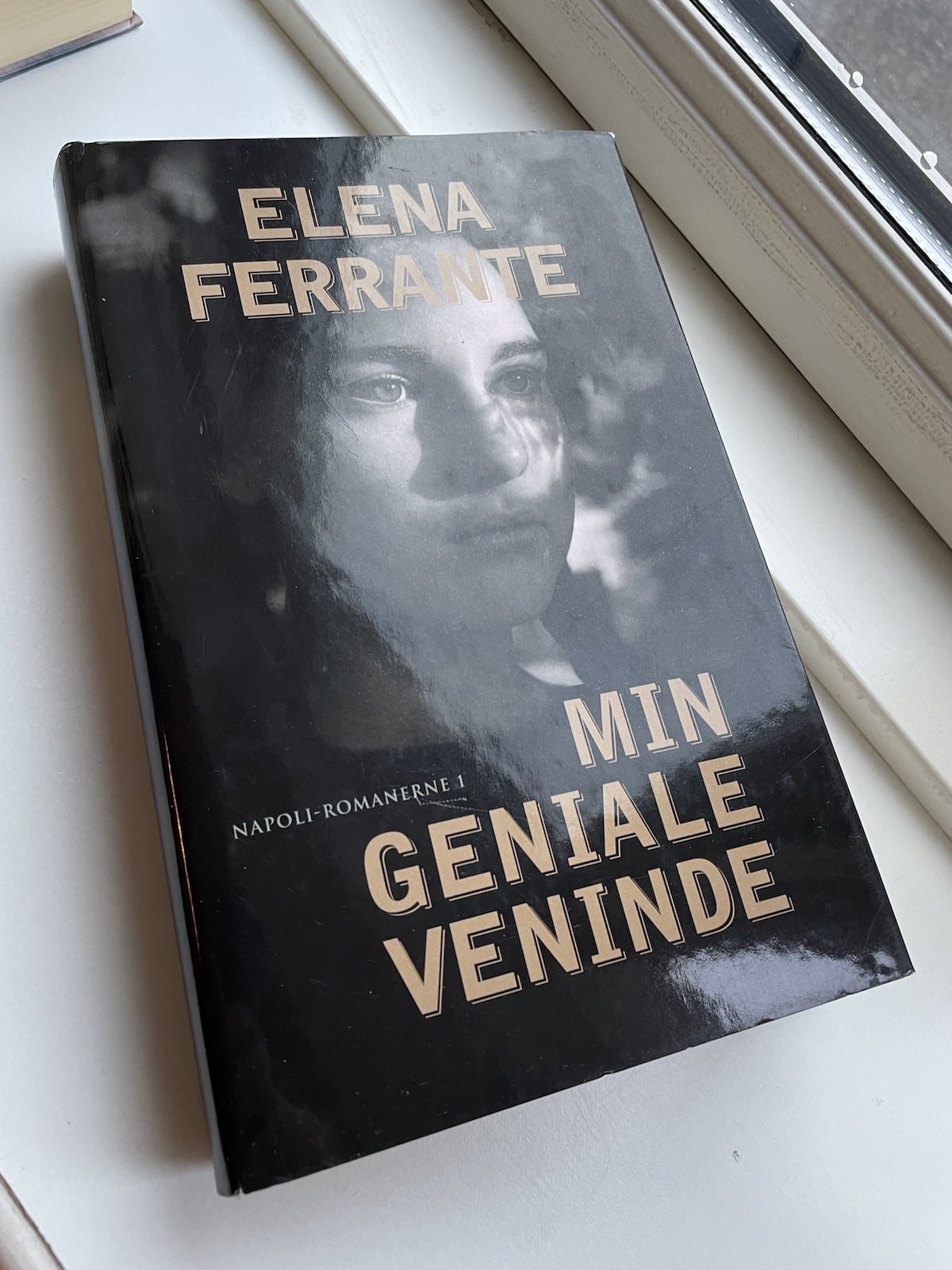 Min geniale veninde, Elena Ferrante, brugt bog