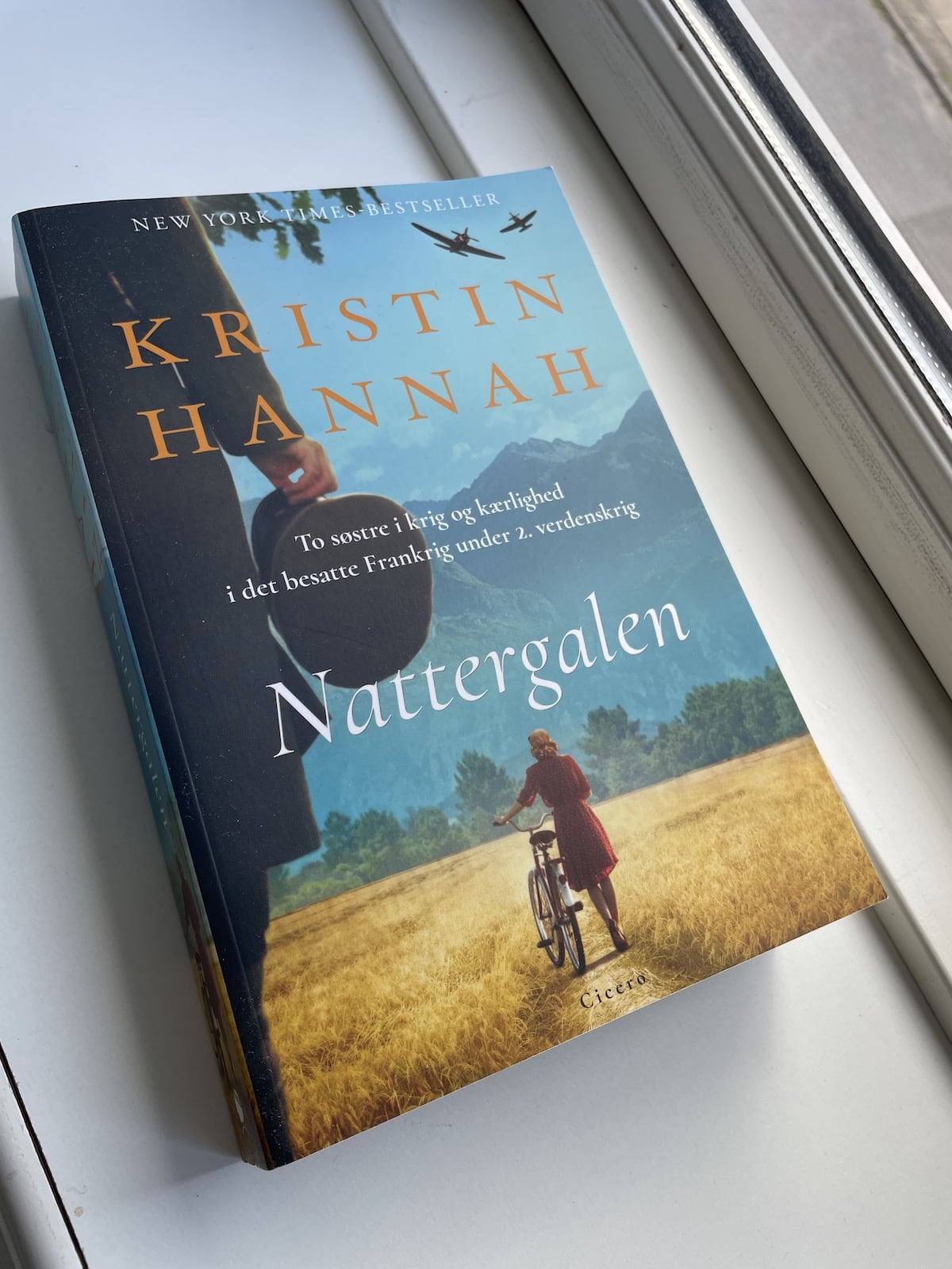 Nattergalen, Kristin Hannah, brugt bog