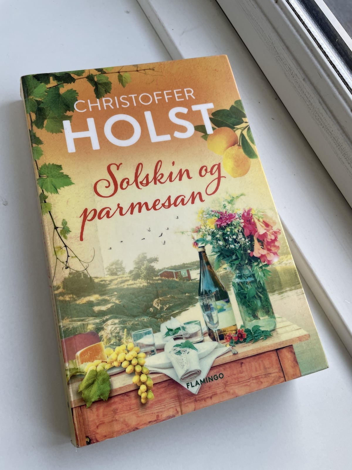 Solskin og parmesan, Christoffer Holst, brugt bog