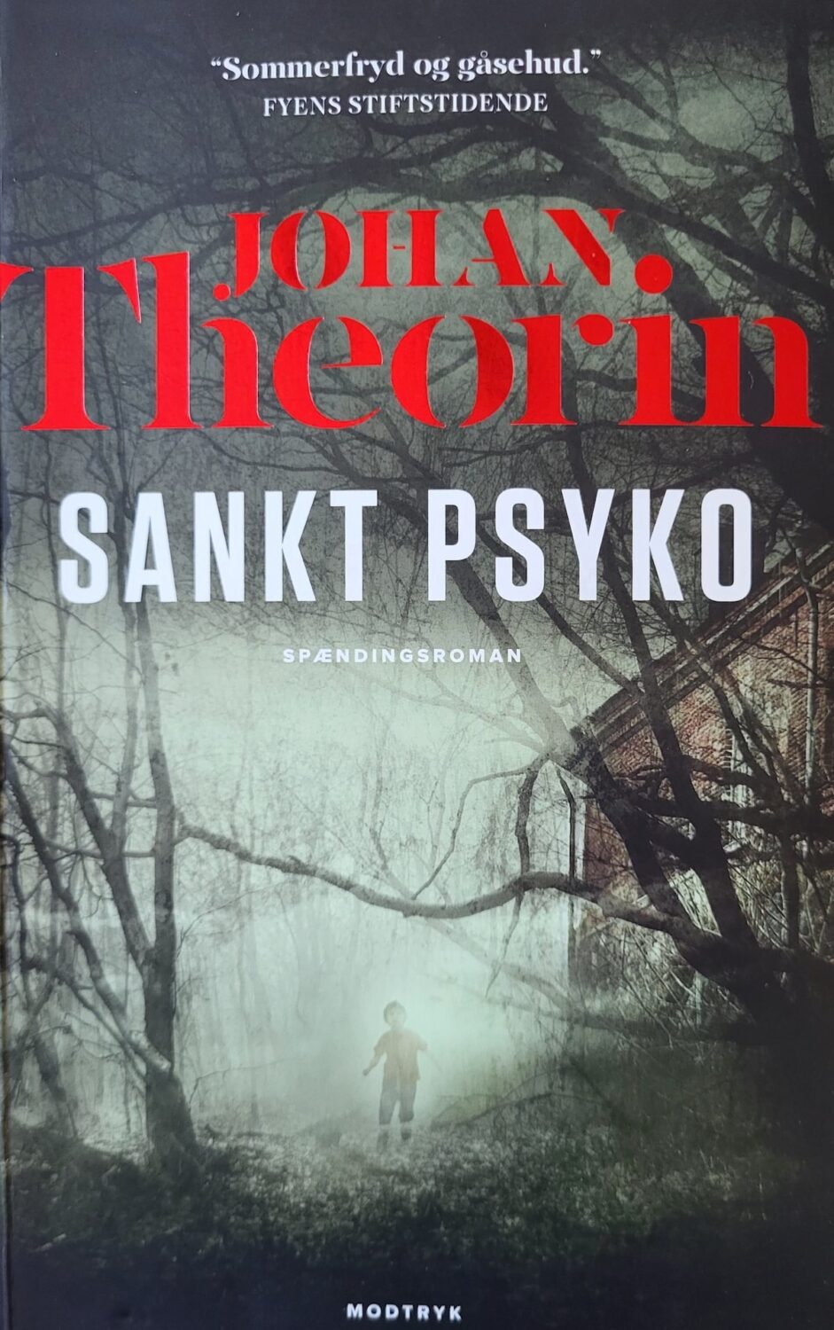Sankt Psyko, Johan Theorin, brugt bog